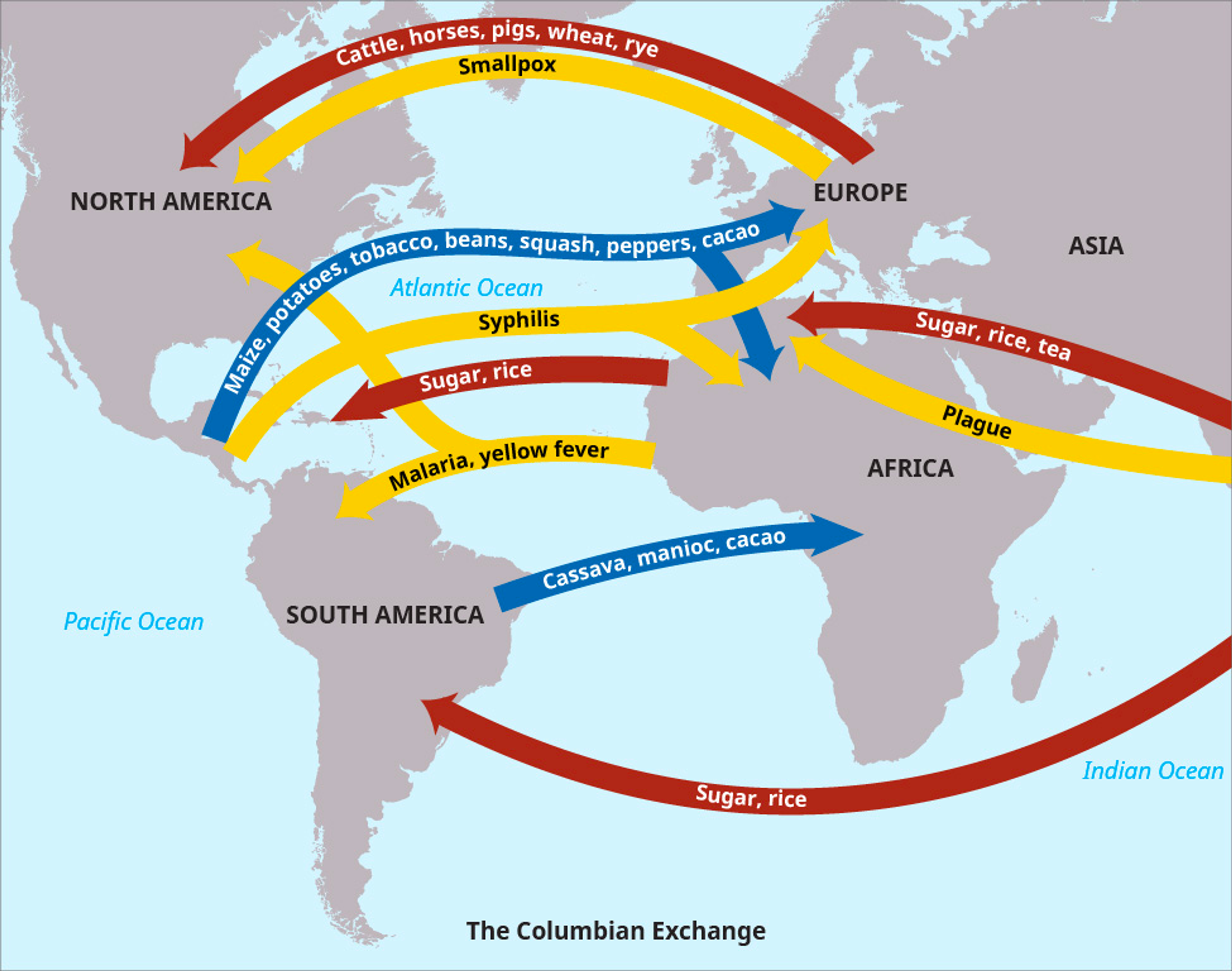 The trade routes of the Columbian Exchange (